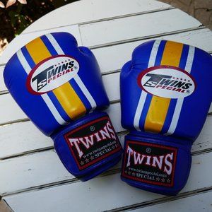 Twins 14 OZ Boxing Gloves